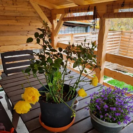 게스트하우스 Kakasdombi Apartman 3*